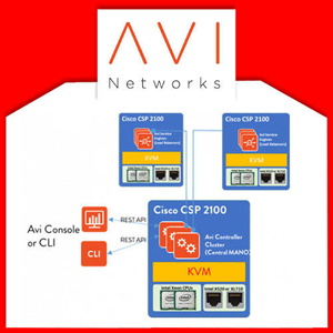 Avi Networks to address modern Data Center and Cloud customers