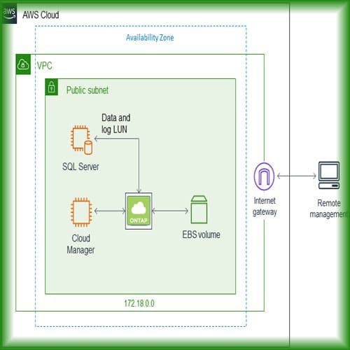 AWS and NetApp come up with fully-managed ONTAP file system in the cloud