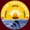 GITAM University