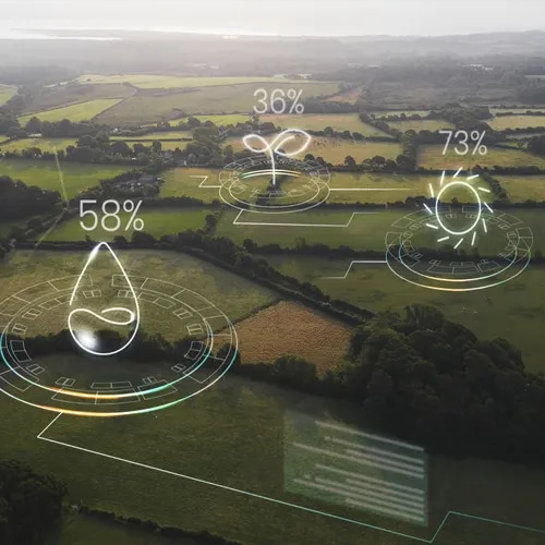 Google to make Indian agriculture data driven with new tool