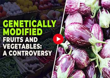 Genetically Modified (GM) fruits and vegetables: A Controversy