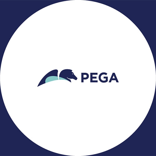 Pega launches ‘Infinity '25’, the industry’s first AI-powered agentic enterprise transformation platform