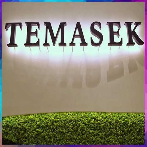 Temasek Strengthens India Focus with Fresh BFSI Investment