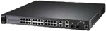 Manageable Switches-ZyXEL