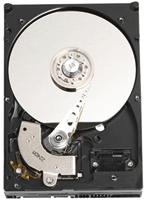 Western Digital