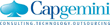 Capgemini declares 2011 Financial Results