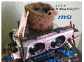 MSI990FXA-GD80 sets New Overclocking World Record