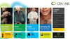 Cbazaar on Windows 8