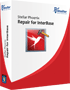 Stellar unveils InterBase Repair Tool