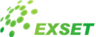 Exset appoints Gary Ellis