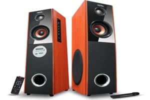 Zebronics debuts new Tower Speakers