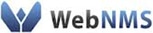 WebNMS wins award fromIDTechEx
