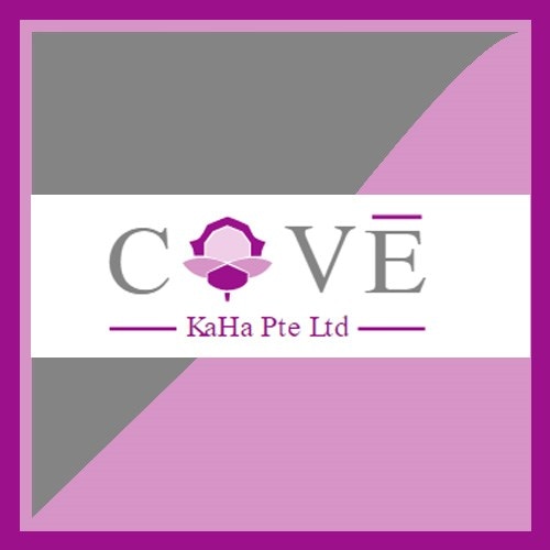 KaHa raises US$4.5 million to fuel expansion drive