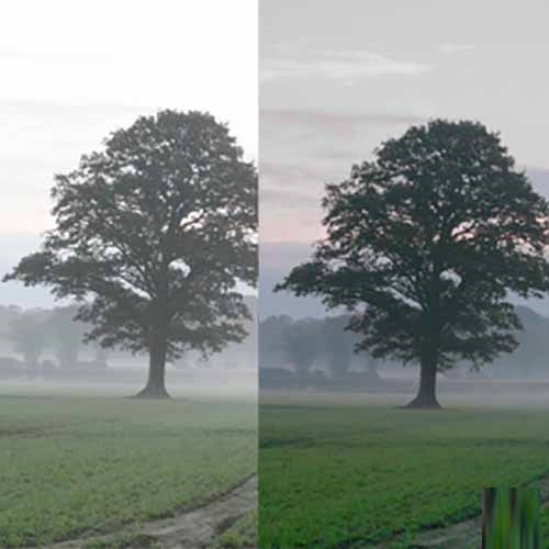 Apple acquires Spectral Edge to improve photos