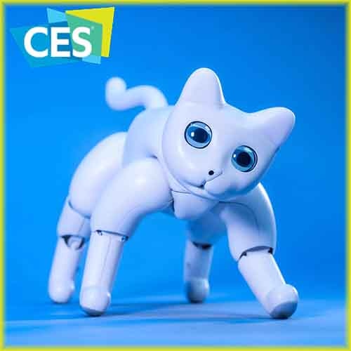 MarsCat - A robo-pet showcased at CES 2020