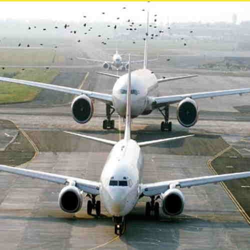 Center releases guidelines for international and domestic travel