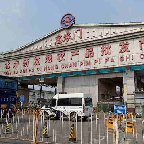COVID-19 shuts down Beijing