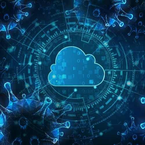 Pandemic registers nearly 500-700 per cent increase in data business