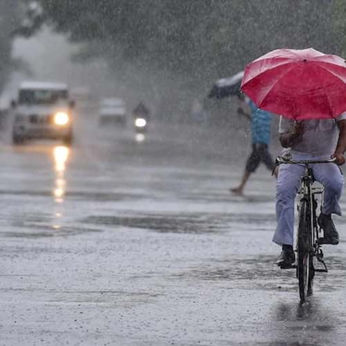 Delhi Fire department receives several calls about 'oil rain' in the city
