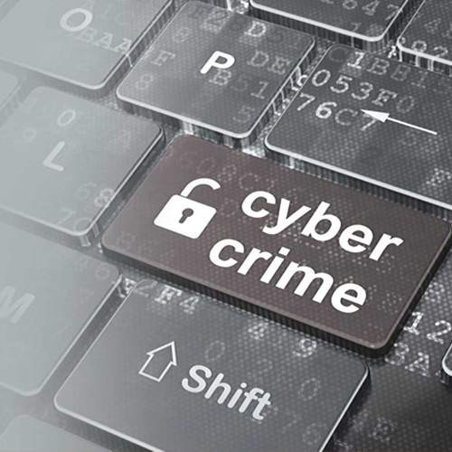 Online festive shopping increases in the cybercrime: McAfee