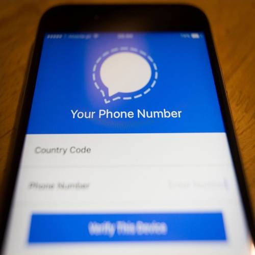 Signals value up but the app is down globally with huge influx of users