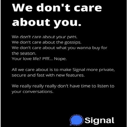 Signal's Global Outage, After Millions Of New Sign-ups