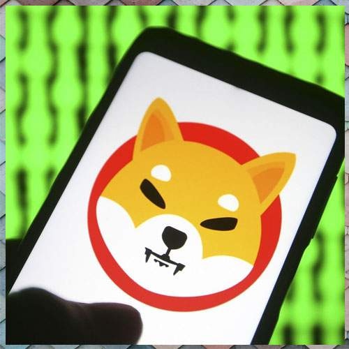 Ownership concentration concern triggers for Shiba Inu wallet