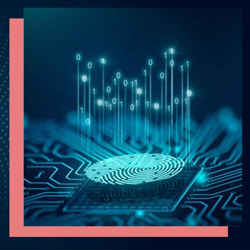 23% of organizations are planning to use quantum technologies