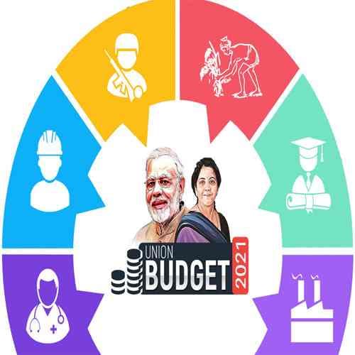 The Union Budget has gone a step ahead to support and boost economic growth