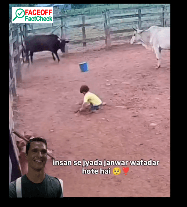 AI-Generated Video Falsely Circulated as Real Cow Rescue Incident