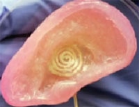 "3D Printing" reaches new heights; creates "Bionic Ear"