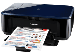 Canon PIXMA Ink Efficient E510 Cartridges: PG88/CL98