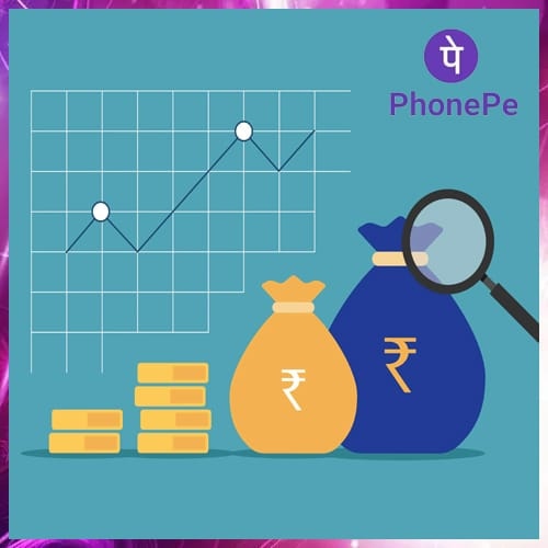PhonePe secures $100 million of fresh funds from General Atlantic and others