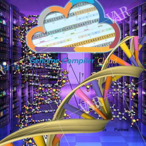 is the future solution to big data  dna storage 