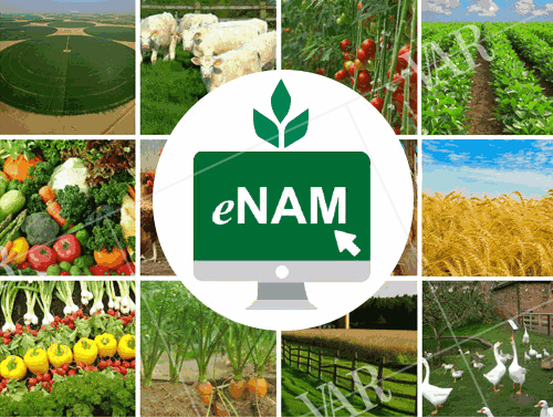enam portal empowers farmers with critical agricultural information