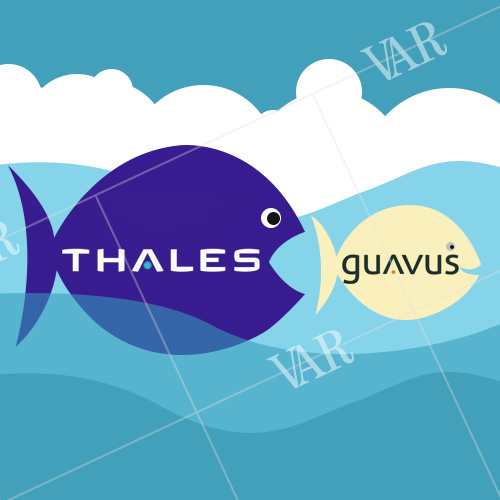 thales acquires big data analytics company guavas