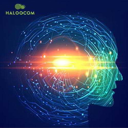 Haloocom to change the future of communication landscape