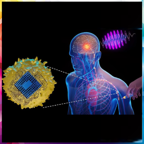 Scientists Create Implant That Teaches Brain with Light