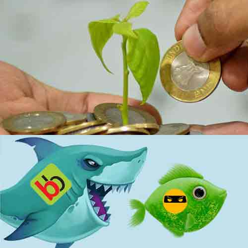 DailyNinja merges with BigBasket due to shortage of funds