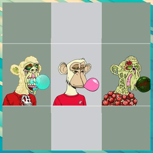 BAYC collector loses NFTs in direct swap scam