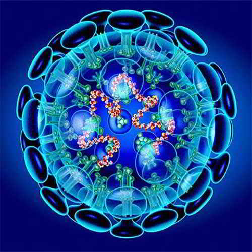 WHO Pushes to switch over contactless to slow virus transmission