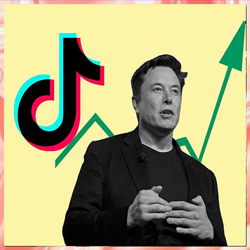 Elon Musk Dismisses TikTok Acquisition Rumors Elon Musk Dismisses TikTok Acquisition Rumors