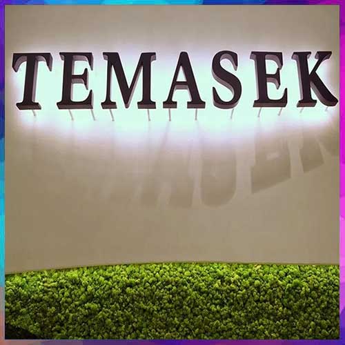 Temasek Strengthens India Focus with Fresh BFSI Investment