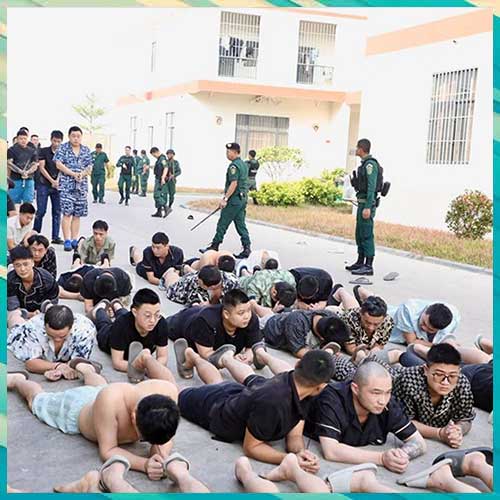 Cambodia Raids Major Scam Hub; 36 Indians Among 2,000+ Detained