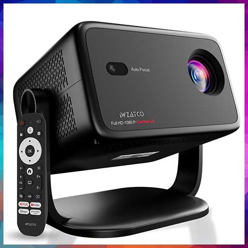 WZATCO reports surge in big-screen viewing as IPL season approaches