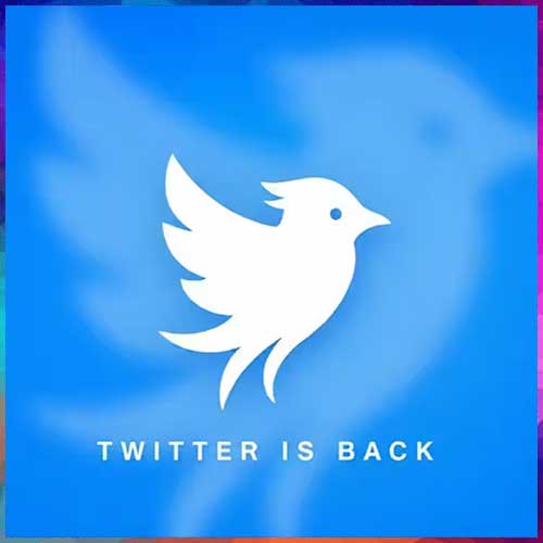 Twitter.now Revives Twitter Amid Trademark Battle
