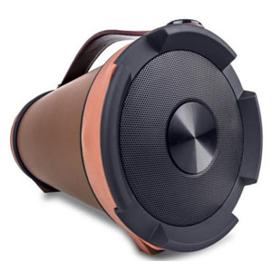 iBall launches iBall Karaoke Barrel and Musi Barrel BT31