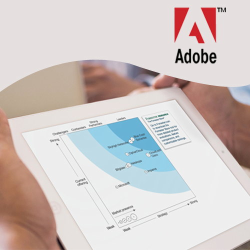 Adobe holds top position among Web Analytics Vendors Adobe holds top position among Web Analytics Vendors