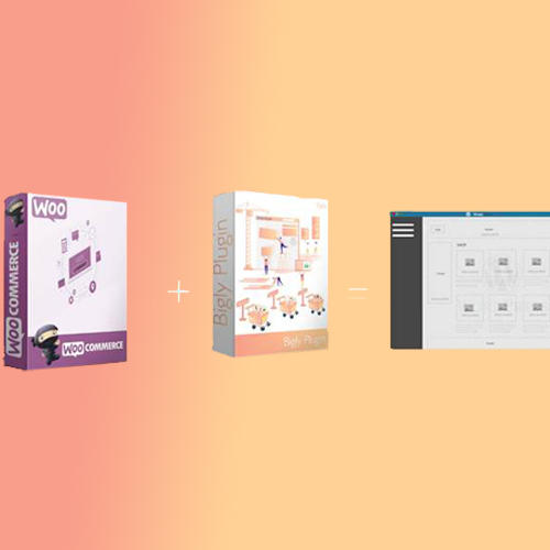 Bigly unveils solution to help e-commerce entrepreneurs setup an ecommerce store