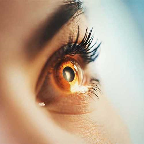 Google AI, can predict cardiovascular problems by eye scan Google AI, can predict cardiovascular problems by eye scan